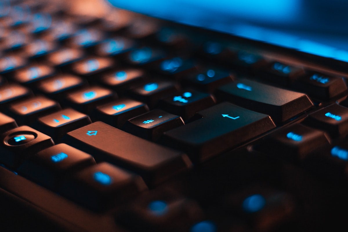 NetDynamic development environment